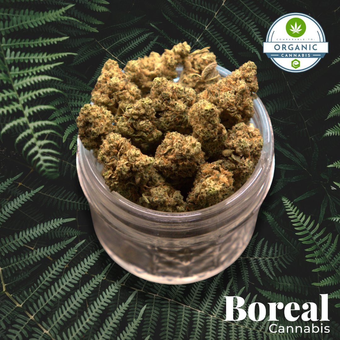 Photograph of product: Boreal | Cookies & Chem | Bulk Flower - 28g