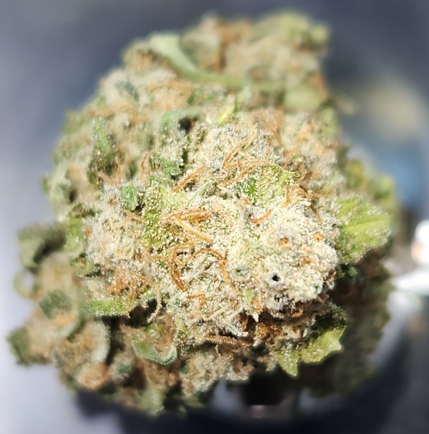 Photograph of product: Durban Poison - (S) - 1g