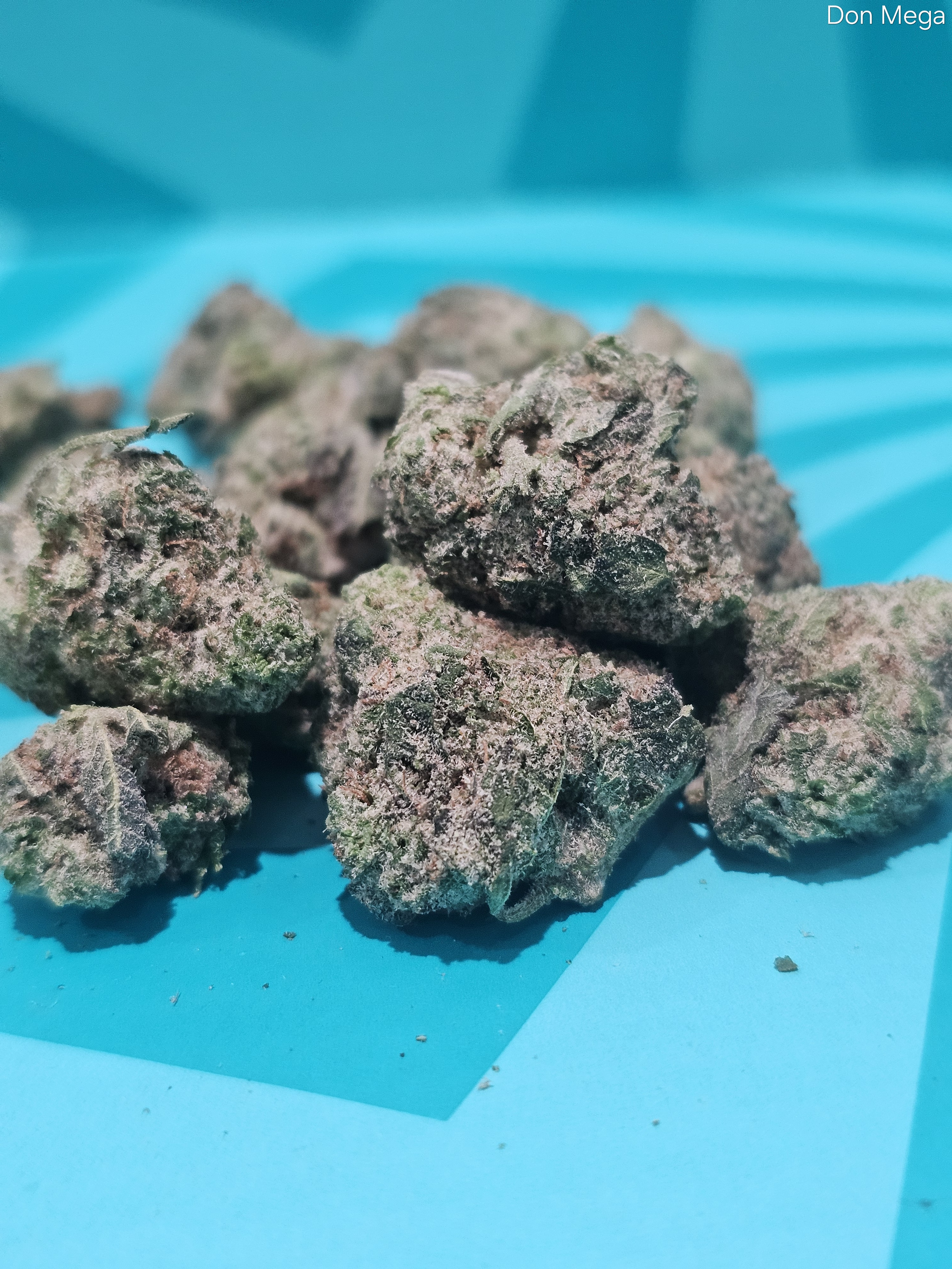 Photograph of product: PF | Flower | REC - Don Mega - 3.5g