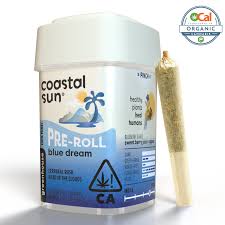 Photograph of product: Coastal Sun Greenhouse Preroll 10pk 3.5g - Blue Dream (S)