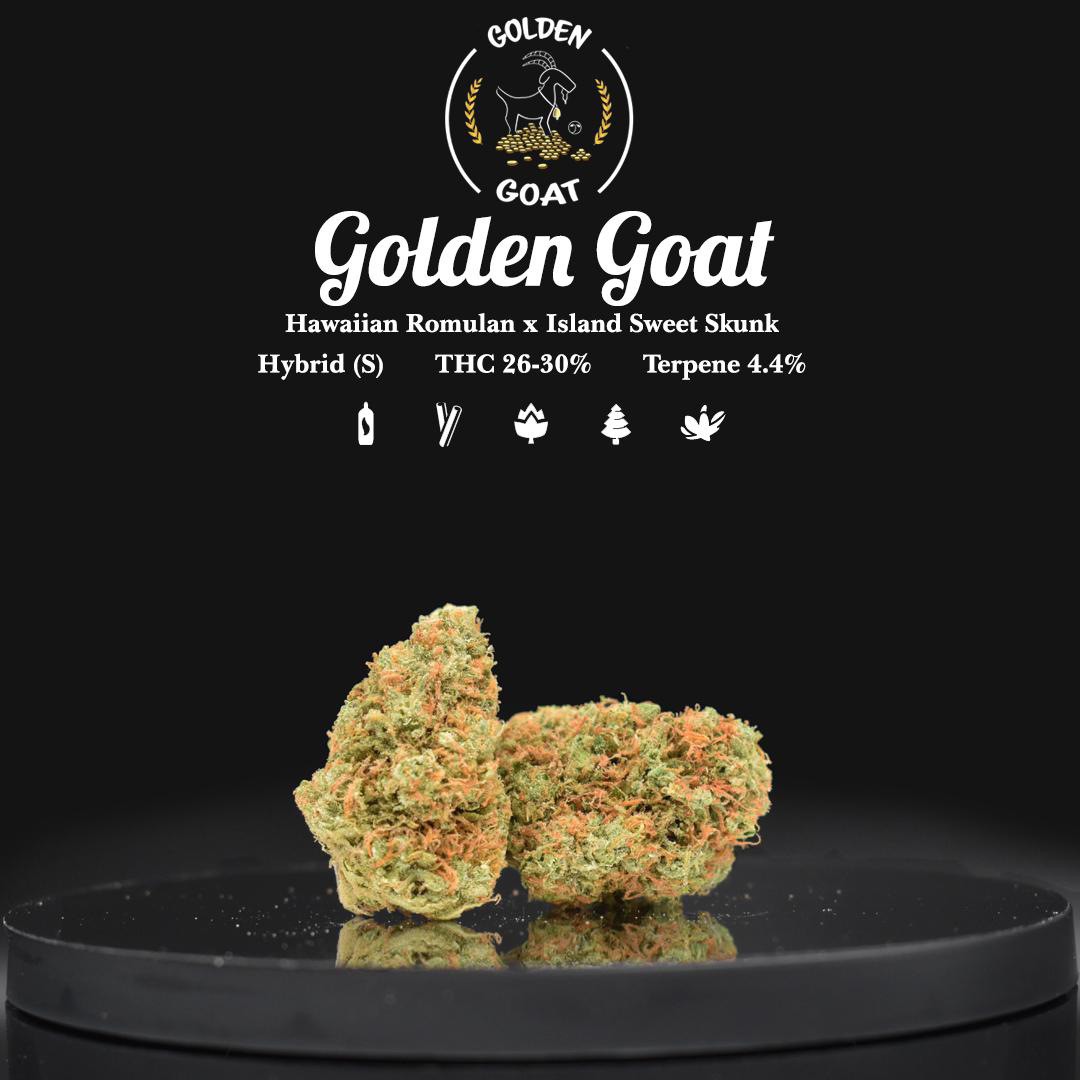 Photograph of product: Golden Goat (S) - 28g