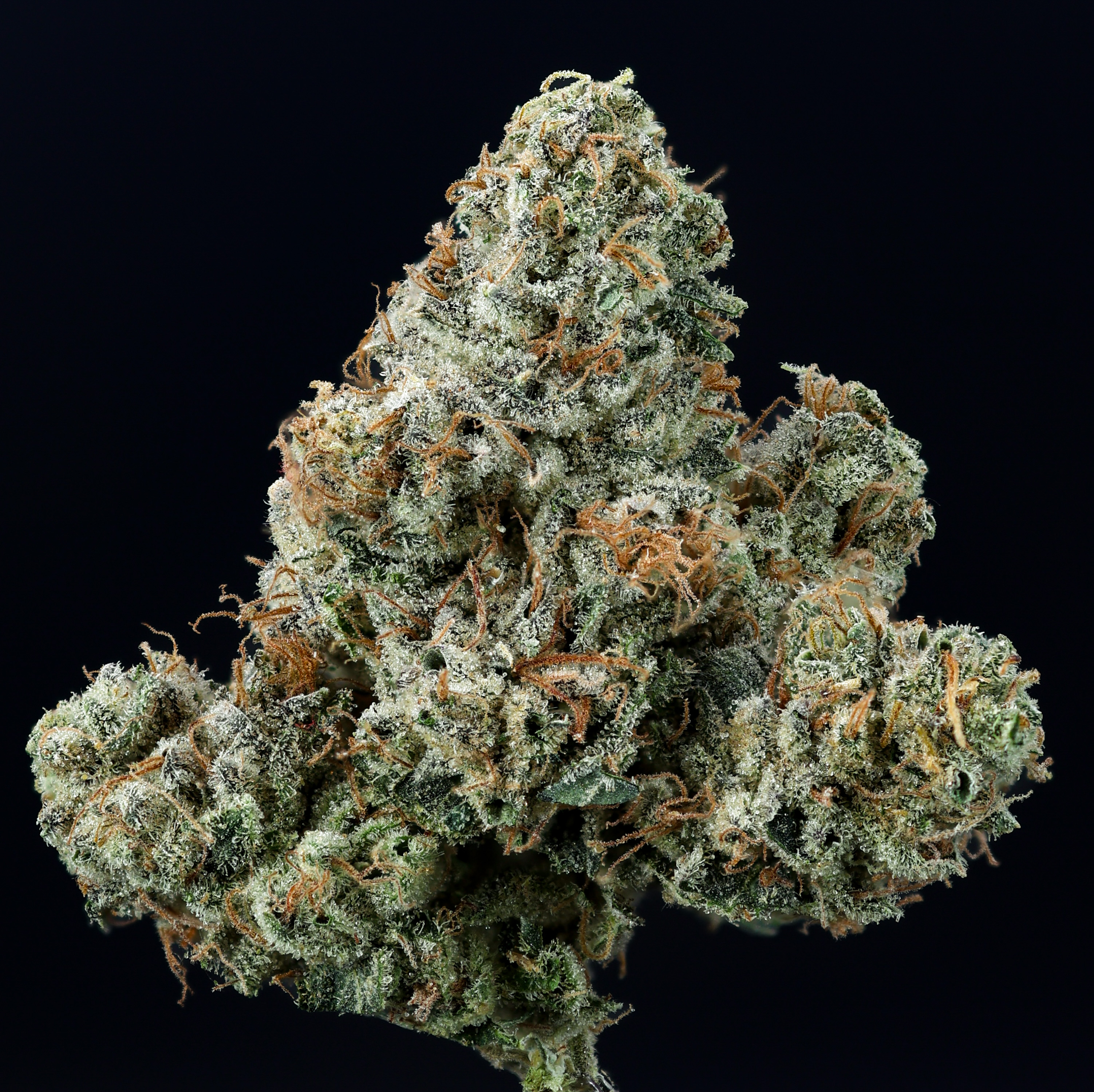 Photograph of product: HEADBANGER (S) 3.5G