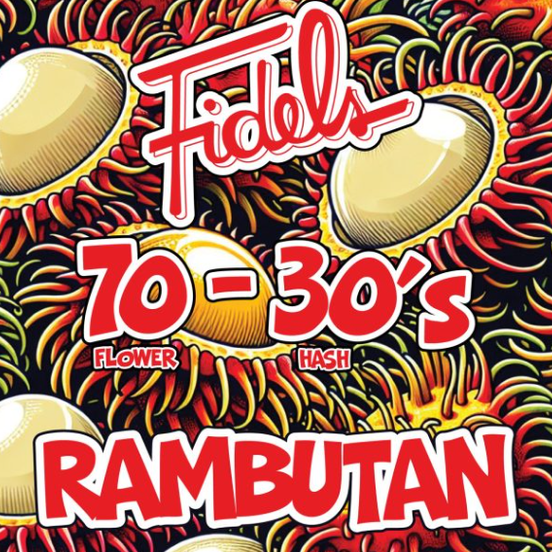Photograph of product: Fidels - Rambutan- 1g - Infused Preroll - 