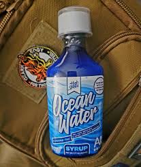 Photograph of product: High Speed Extracts Ocean Water Syrup 1000mg