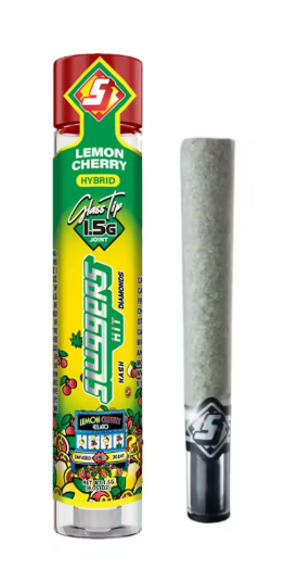 Photograph of product: Lemon Cherry Gelato Infused Preroll | 1.5g | 52.98% TAC