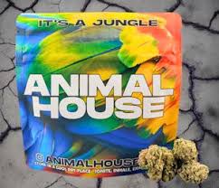 Photograph of product: Animal House | Gov't Oasis Small Flower 5g | Hybrid