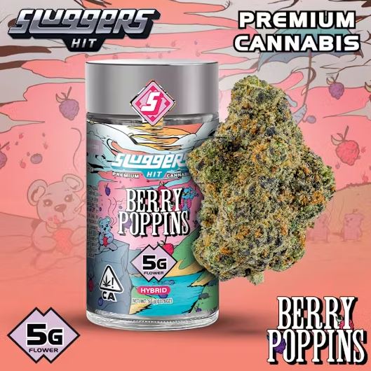 Photograph of product: Sluggers 5g Berry Poppins