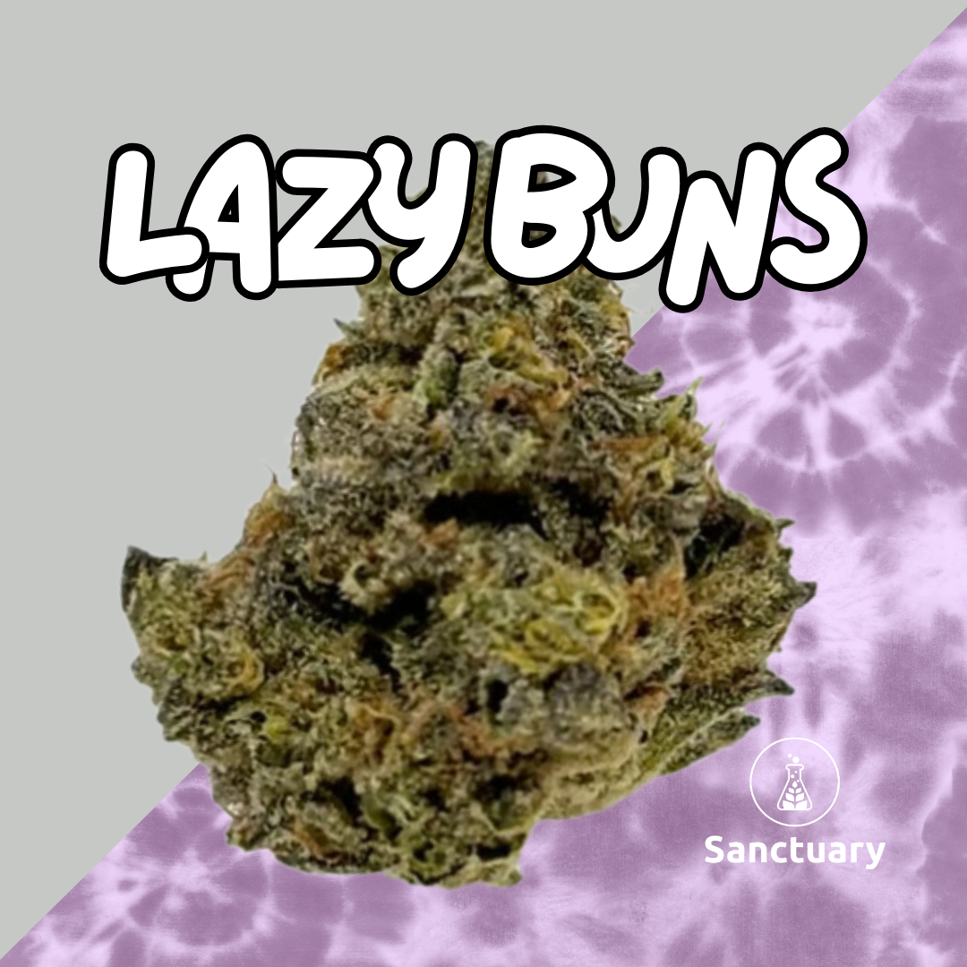 Photograph of product: Small Bud I Lazy Buns | 3.5g