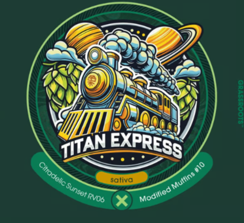 Photograph of product: Infused Flower - Grassroots - Titan Express (S) - 3.5g