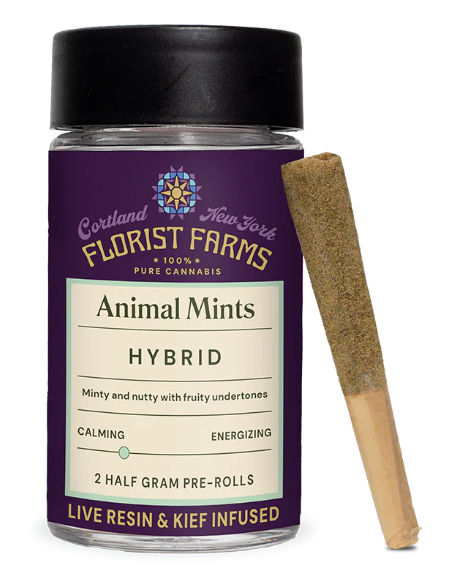 Photograph of product: Florist Farms | Animal Mints Live Resin Infused Kief Dusted Pre-rolls | 2pk (1g)