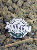Photograph of product: Flower | Betrayal OG - 14g