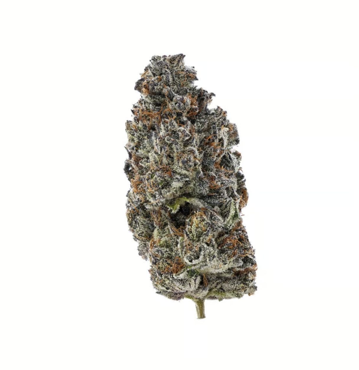 Photograph of product: (the) Essence | Gelato 41 | 3.5g