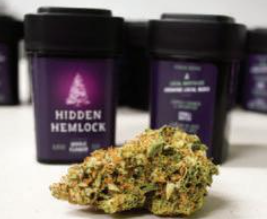 Photograph of product: Orange Alien Cookies - 3.5g