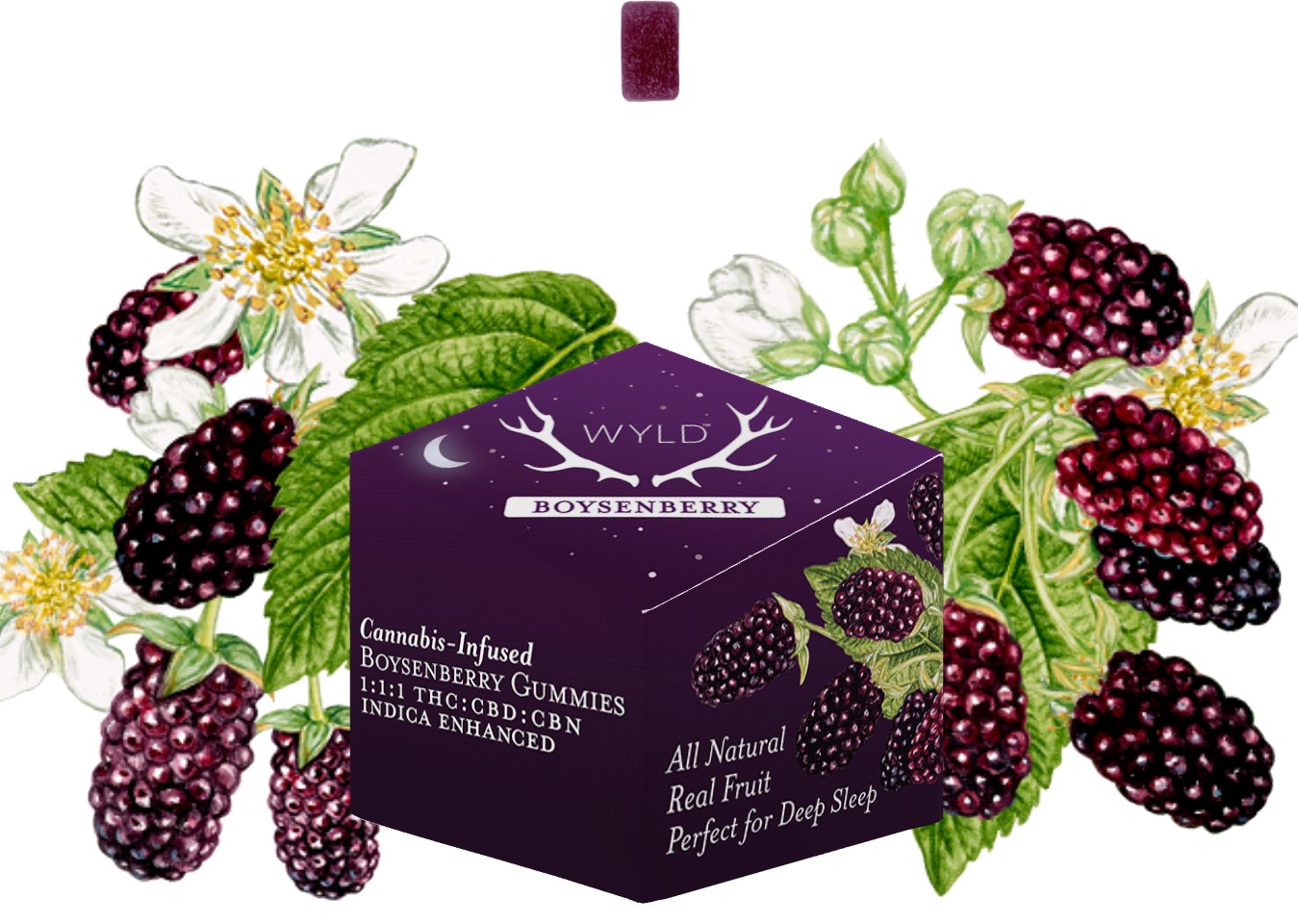Photograph of product: Wyld -  Boysenberry Gummies 1:1:1 - 100mg