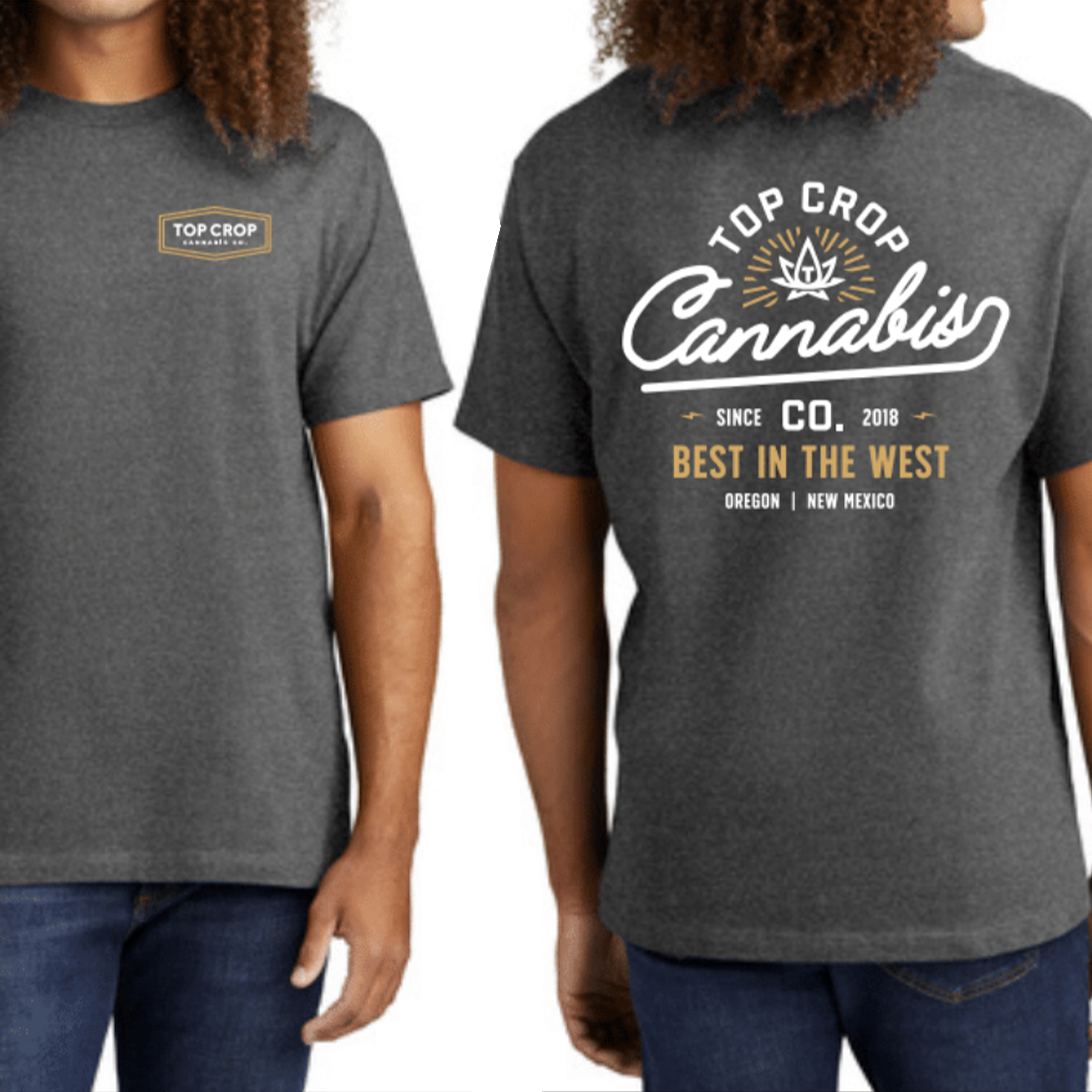 Photograph of product: Gray Best in the West Tee - XL