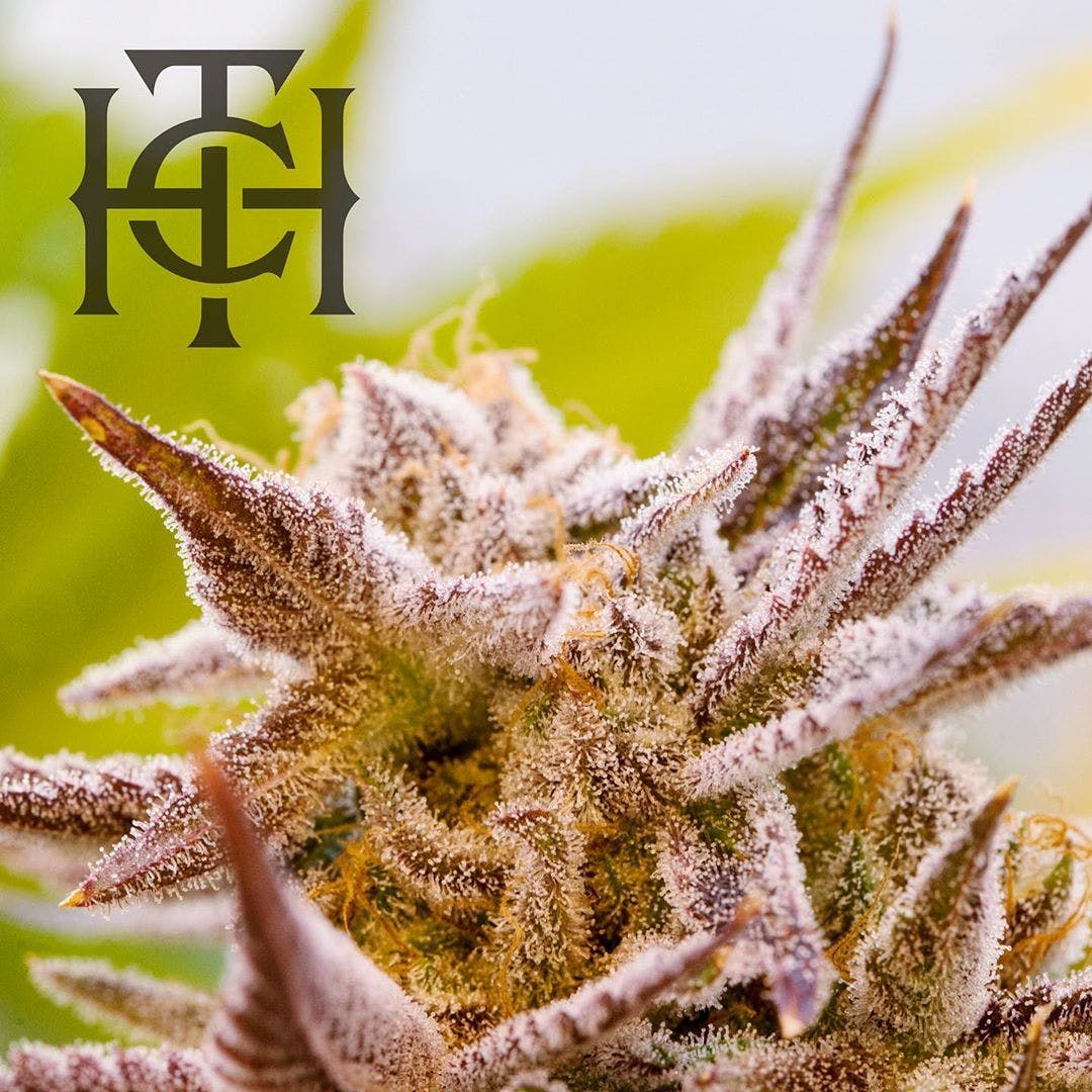 Photograph of product: Orange Kush Cake - Buds 3.5g