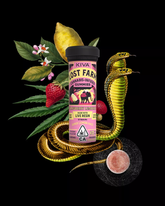Photograph of product: Live Resin Gummies | Strawberry Lemonade x Lemon OG Haze