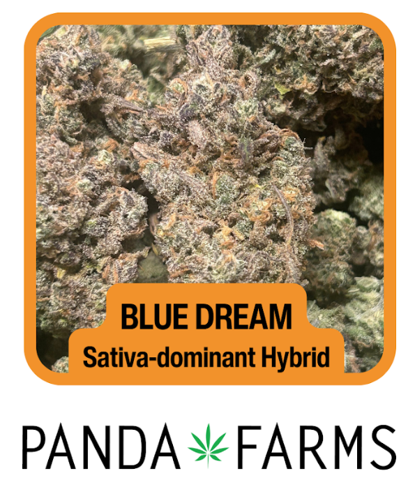 Photograph of product: [REC] Panda Farms | Blue Dream | 3.5g Flower