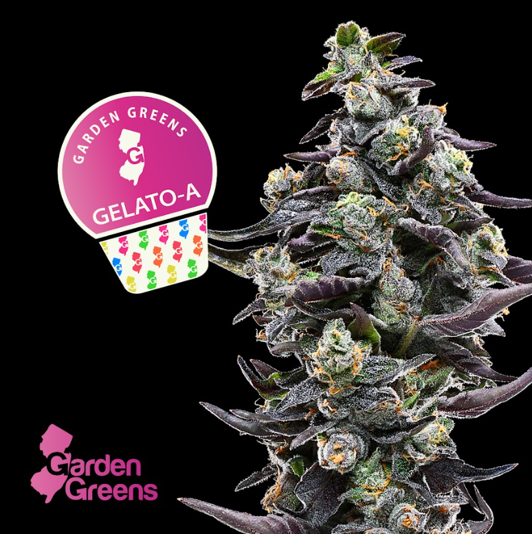 Photograph of product: [REC] Garden Greens | Gelato A | 7g Big Bud Flower
