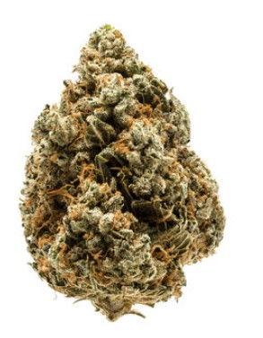 Photograph of product: Axilla Flower - 14g