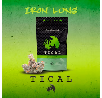 Photograph of product: Iron Lung (Chem 91 x G13) | Premium Buds - 3.5g