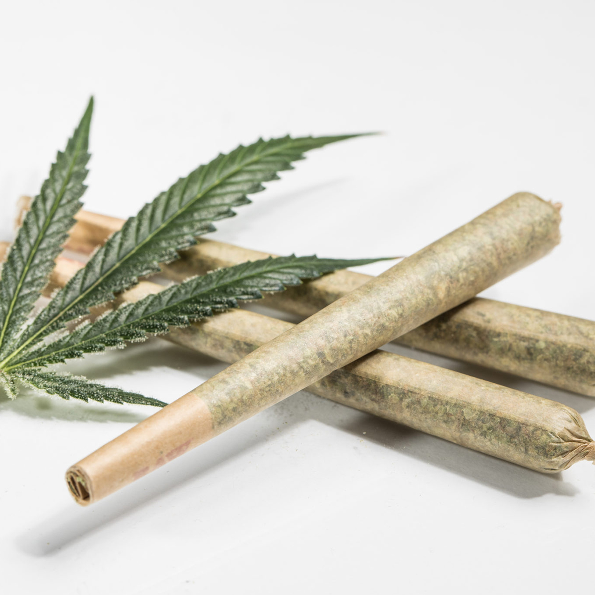 Photograph of product: Lemon Froyo .5 gram Pre Roll (27.20% TH-oui)