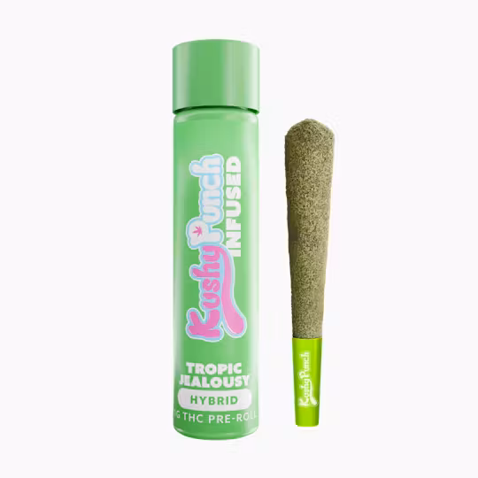 Photograph of Product: Kushy Punch: Infused Pre-Roll | Tropic Jealousy | 1g