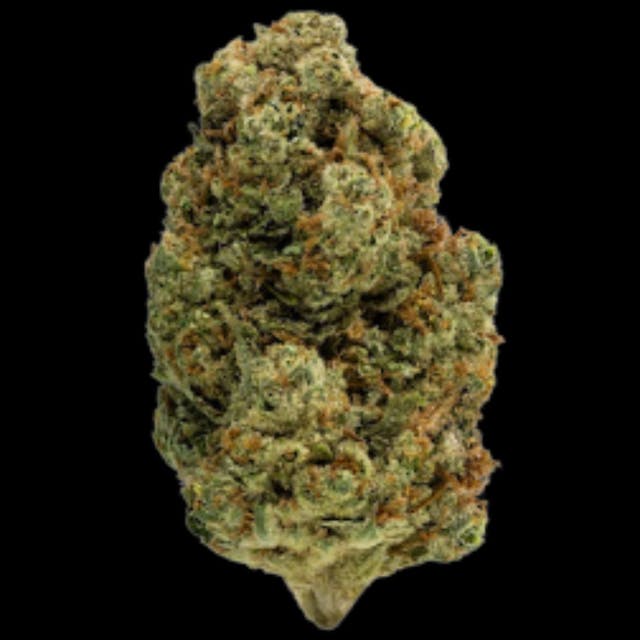 Photograph of product: Gary Payton 28g - 