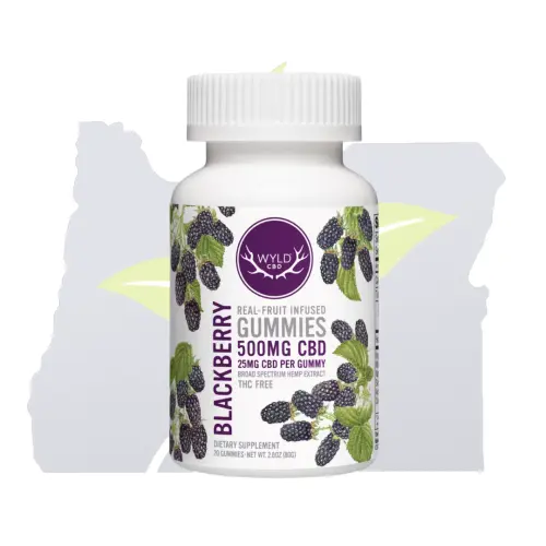 Photograph of product: Wyld-Hemp 20Pk-Blackberry