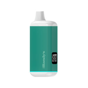 Photograph of Product: Randy's Inspo+ Seafoam Green
