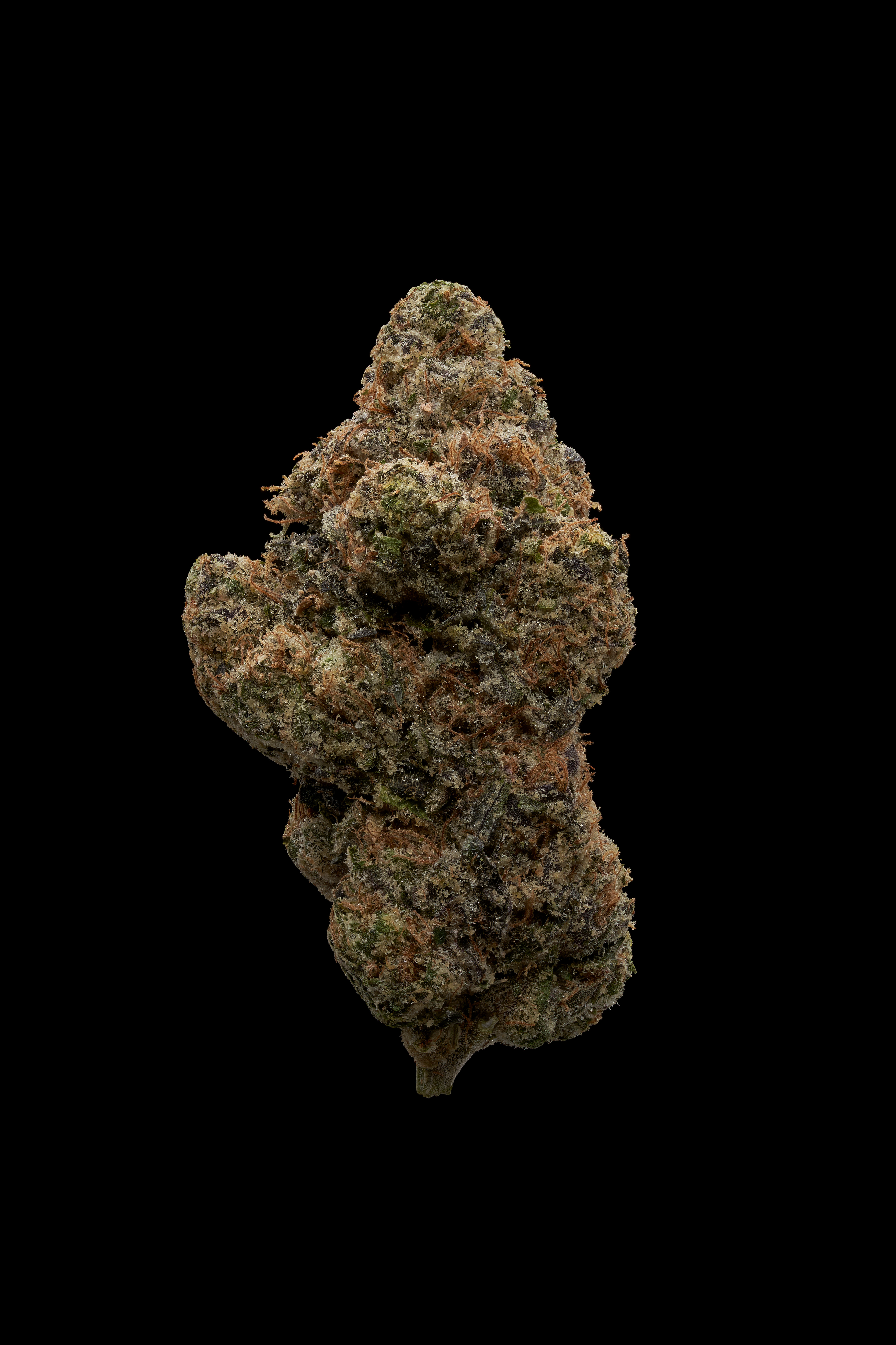 Photograph of product: Kolektor -  Kruntz - 3.5g