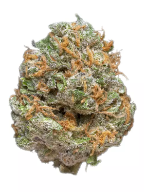 Photograph of product: Purple AK - Buds - 3.5g