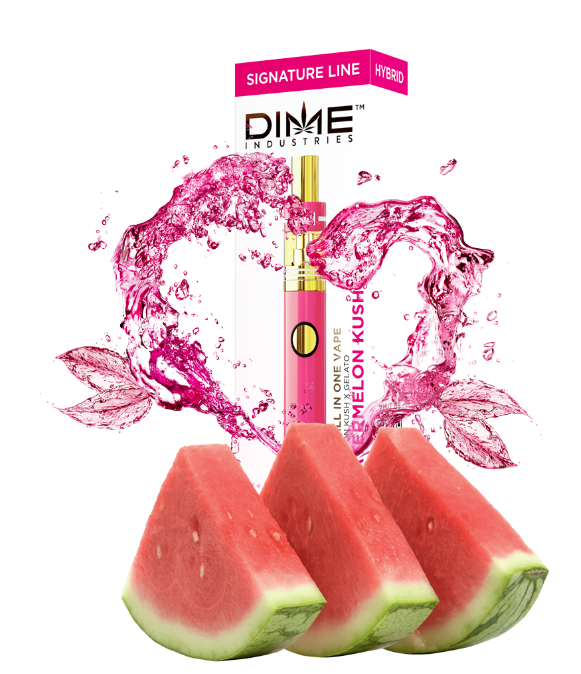 Photograph of product: Dime Industries | Watermelon Kush | All-In-One Rechargeable Vape | 1g