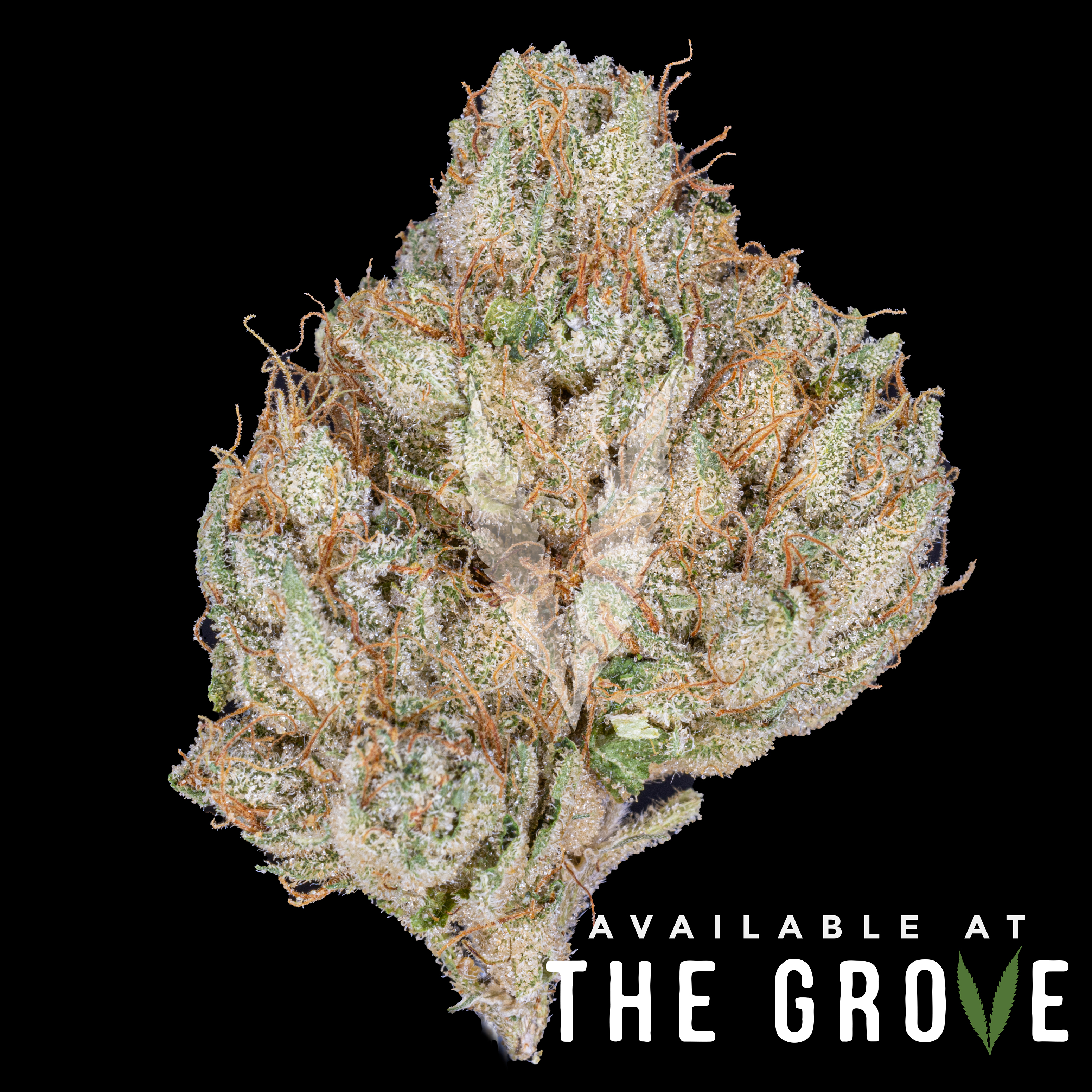 Photograph of product: CBX | White Walker OG 1/8th - 3.5g