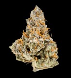 Photograph of product: Wingsuit Buds by Elysium - 1g