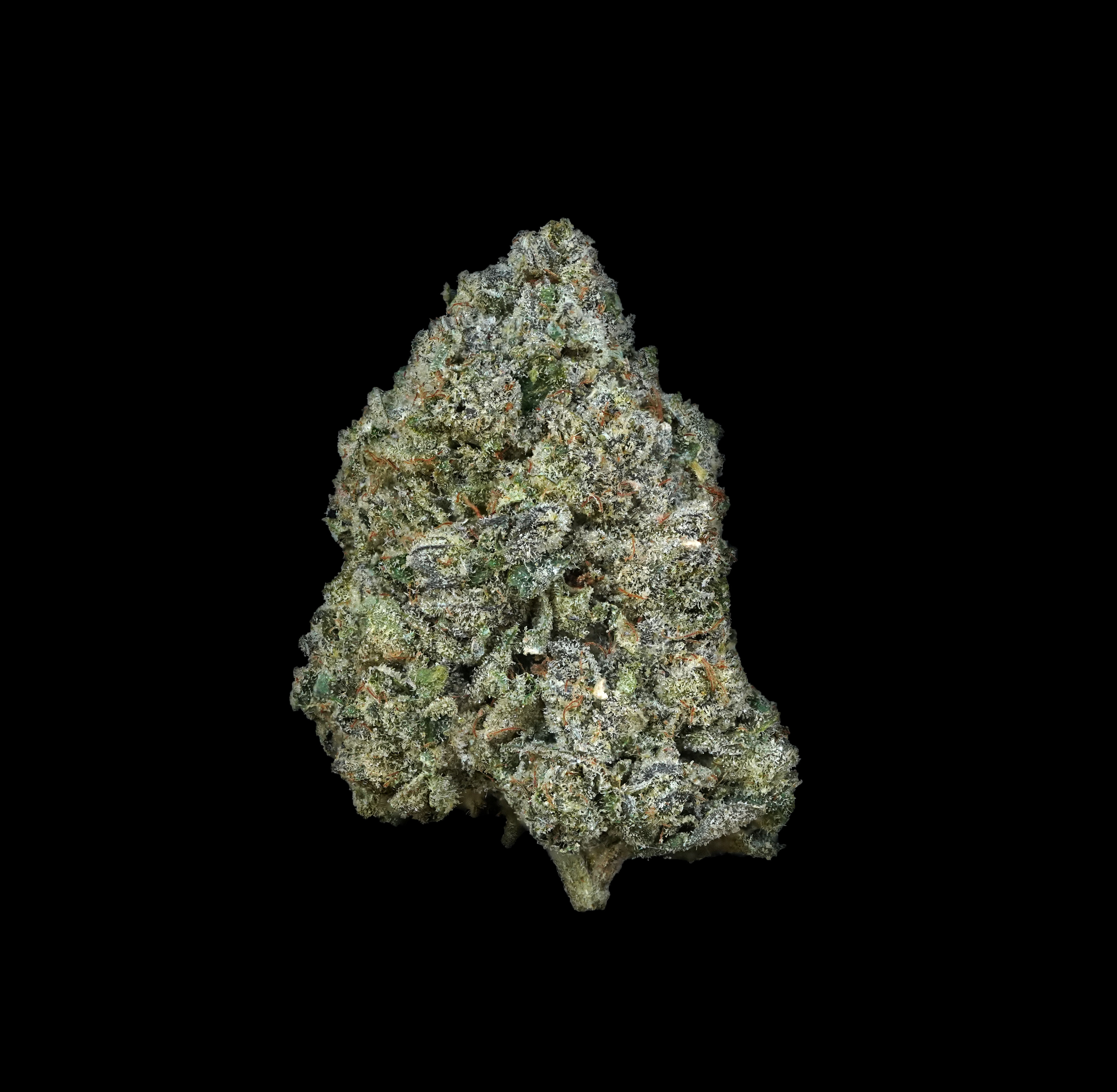 Photograph of product: (BULK) Purple Churro - Hybrid - 28g