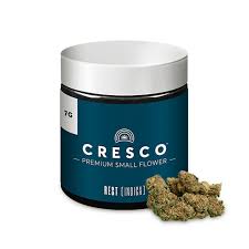 Photograph of product: Strawberry Cream (Small Buds) -  7g