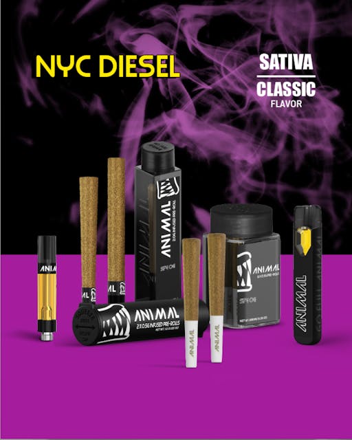 Photograph of product: NYC Diesel 1g disposable - 