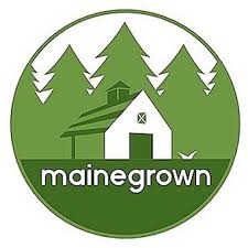 Photograph of product: Maine Grown - Lemon Cookies X Sour Diesel 3.5G