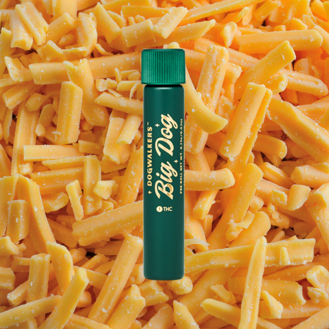 Photograph of product: PREROLL | CHEDDAR CHEEZE | 1G