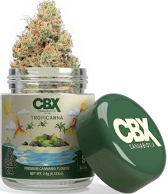 Photograph of product: Tropicanna [S] - Flower - 3.5g