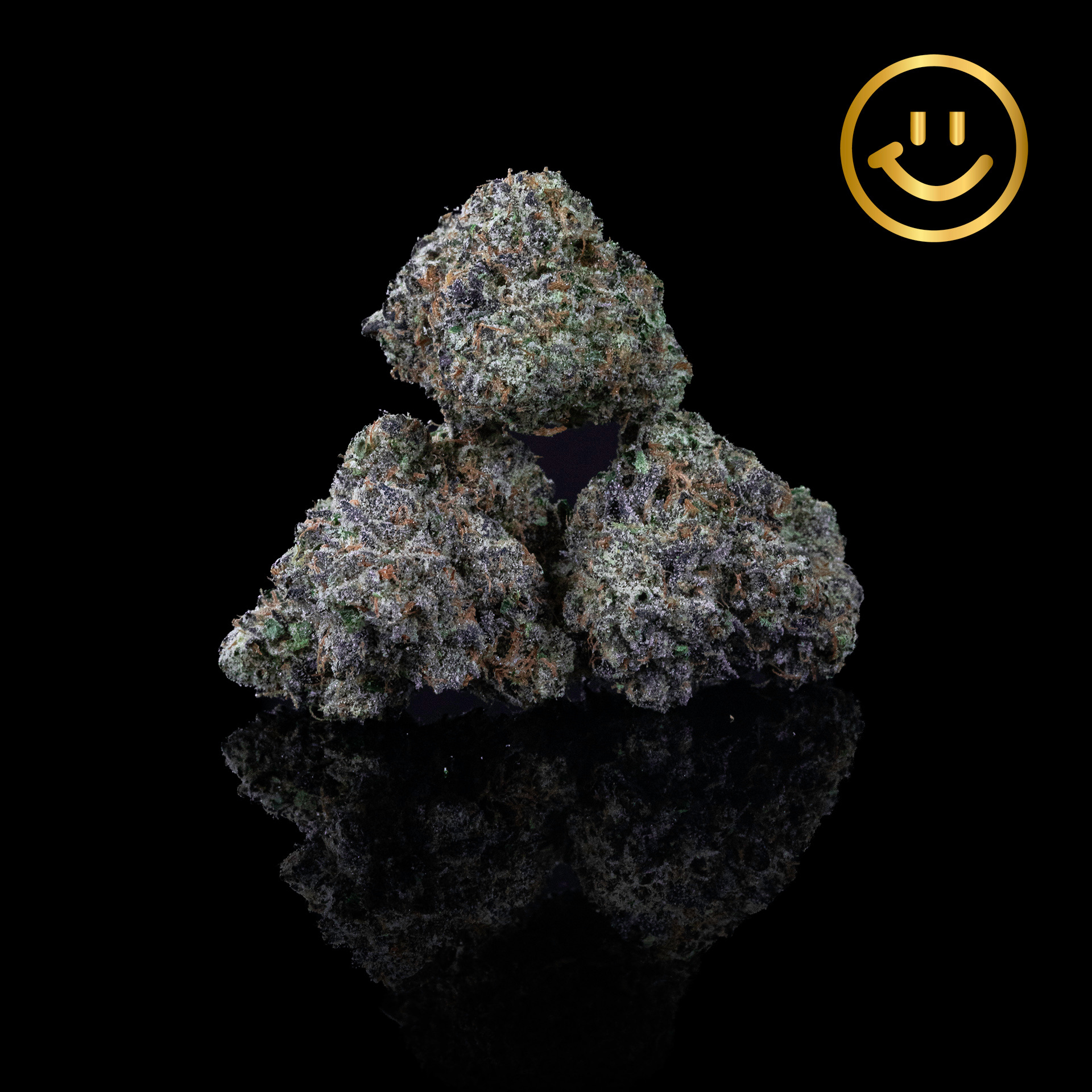 Photograph of product: Resin Ranchers | Five Eighty | indoor flower