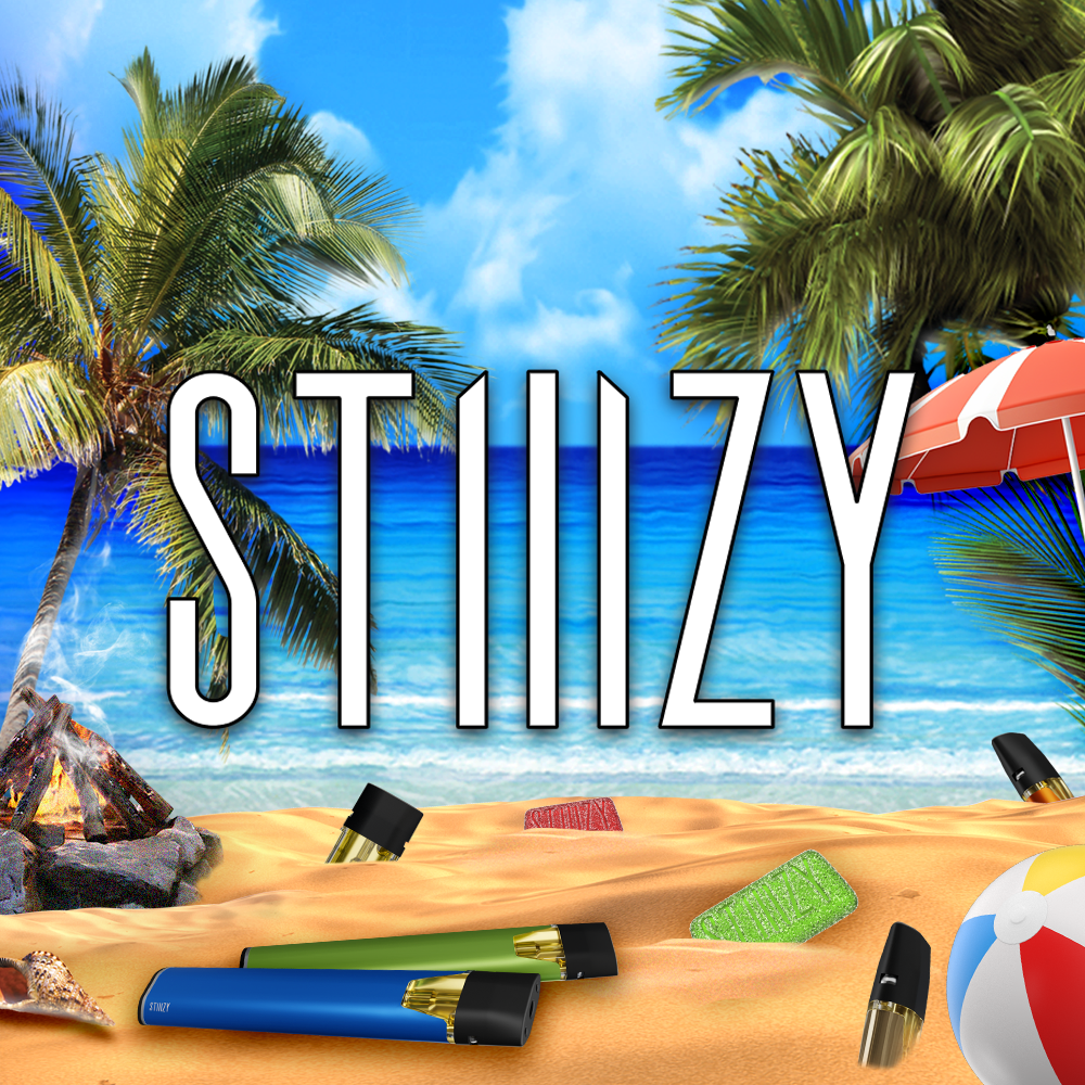 Photograph of product: STIIIZY BATTERY BAR