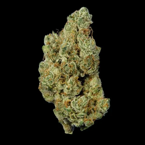 Photograph of product: Cookies | Fish Scale - 3.5g
