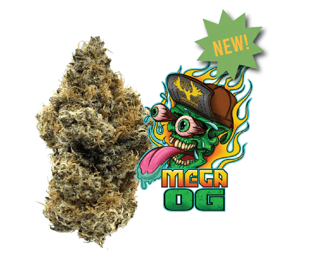 Photograph of product: Mega OG - 14g
