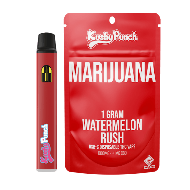 Photograph of product: Watermelon Rush | 1g AIO Vape - 