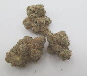 Photograph of product: Forest City Oui'd | Razzberry au chocolat Plant | Pre-Packaged | Smallz - 14g