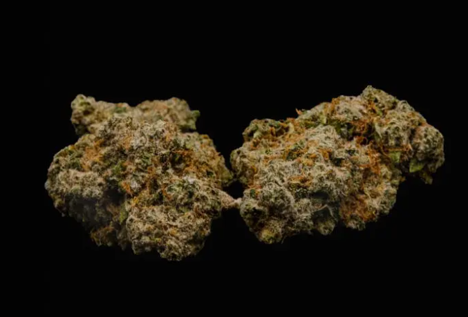 Photograph of product: Curaleaf Whole Flower 3.5g True OG (I) 00626