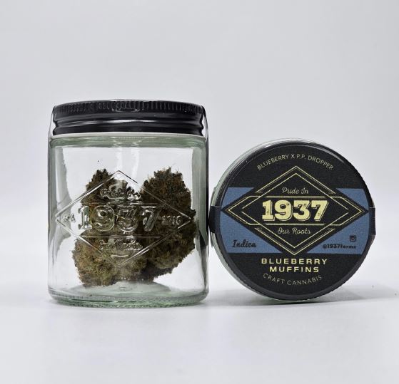 Photograph of product: Blueberry Muffins - 3.5g