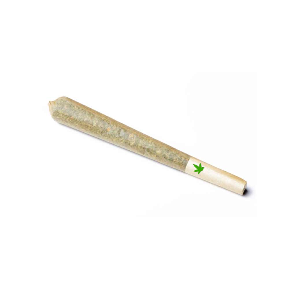 Photograph of product: Boring Glory | Pinata Party - 1g au chocolat-Infused Pre-Roll